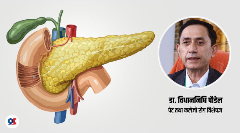 हाम्रो शरीरमा हुने प्यान्क्रियाज के हो ? यस्ता छन् यसका काम