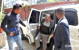 कृष्णबहादुर महरालाई थुनामा पठाउने जिल्ला अदालतका ६ आधार