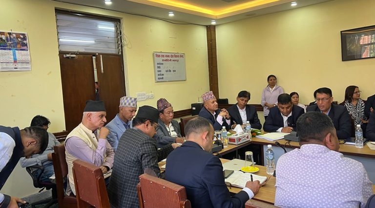 सानोठिमीमा शिक्षामन्त्री पुनको निरीक्षण