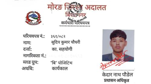 अदालतको नक्कली विज्ञापन देखाएर ठगी, २७ जनाले दिए प्रहरीमा उजुरी