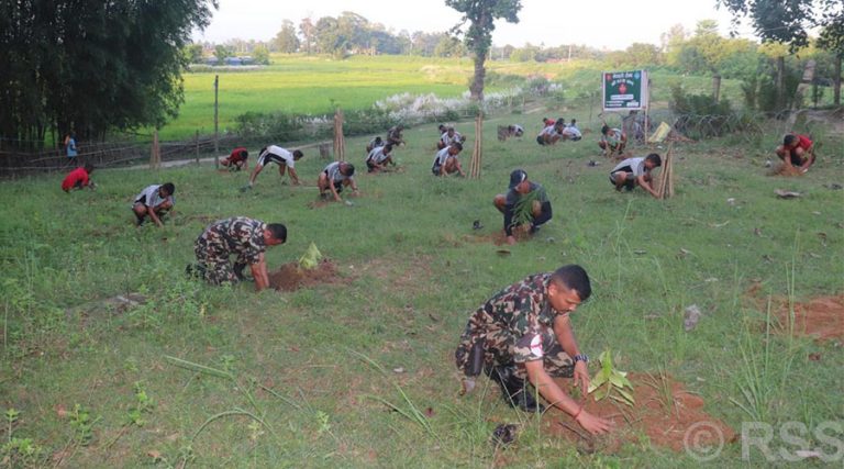 १२ वटा राष्ट्रिय निकुञ्जसहित शिकार आरक्षमा खटिएका छन् ९ हजार बढी सेना