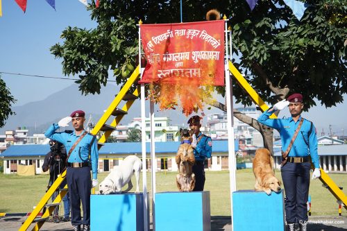 प्रहरीले मनायो कुकुर तिहार, उत्कृष्ट घुङ्ग्रुलाई अवार्ड (तस्वीरहरू)