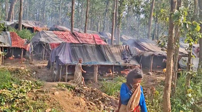 मदिरा सेवन गरेका व्यक्ति पस्न थालेपछि राउटे समुदायमा त्रास, सुरक्षा माग