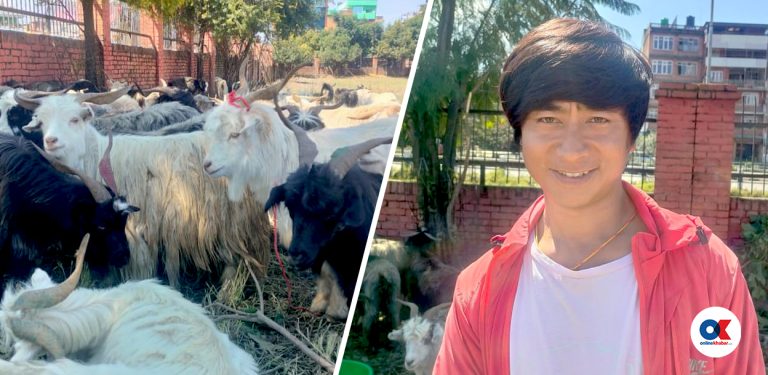 दशैं छोपेर तिब्बती च्याङ्ग्रा धपाउँदै उपत्यका आएका टाशी