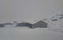 रसुवाको उत्तरी भेकमा हिमपात