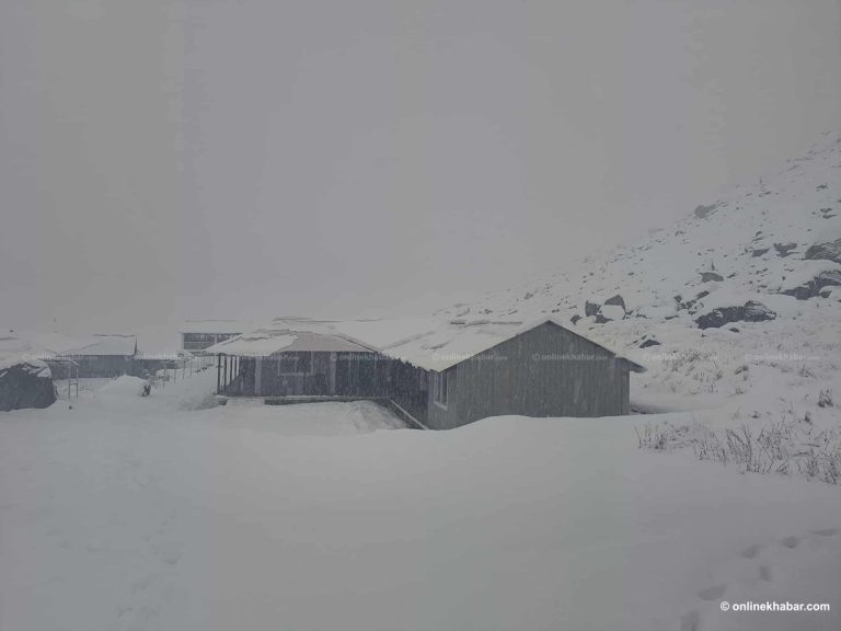 रसुवाको उत्तरी भेकमा हिमपात