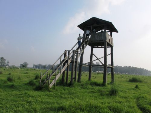 शुक्लाफाँटा राष्ट्रिय निकुञ्जमा जङ्गल सफारीका लागि रुट कायम
