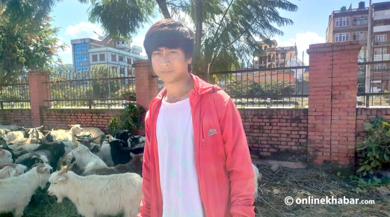 दशैं छोपेर तिब्बती च्याङ्ग्रा धपाउँदै उपत्यका आएका टाशी
