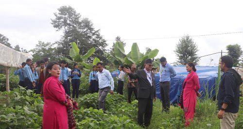 पढ्दै–कमाउँदै कार्यक्रम हटेसँगै सामुदायिक विद्यालय समस्यामा