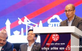 सुरक्षाको ग्यारेन्टी नभएसम्म लगानीको वातावरण बन्न कठिन छ : अध्यक्ष पाण्डे