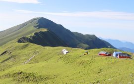 ढोरपाटन आरक्षले दियो वन्यजन्तु पीडितलाई ३८ लाख राहत