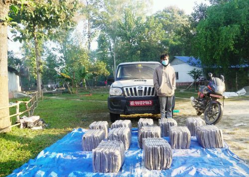 इनरुवाबाट डेढ क्विन्टल बढी गाँजासहित एक युवक पक्राउ