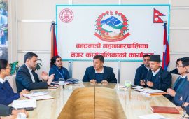 महानगरका गौरव र स्वर्णिम योजनाको प्रगति ३ दिनभित्र बुझाउन निर्देशन