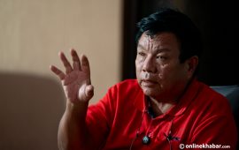 विश्वविद्यालयबाट प्रधानमन्त्री कुलपति हुने प्रावधान हटाउन शिक्षामन्त्रीका दुई विकल्प