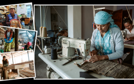 गाउँमा विकास, गाउँमै उद्यम