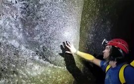 युरोपमा भेटियो विश्वकै सबैभन्दा ठूलो माकुराको जालो