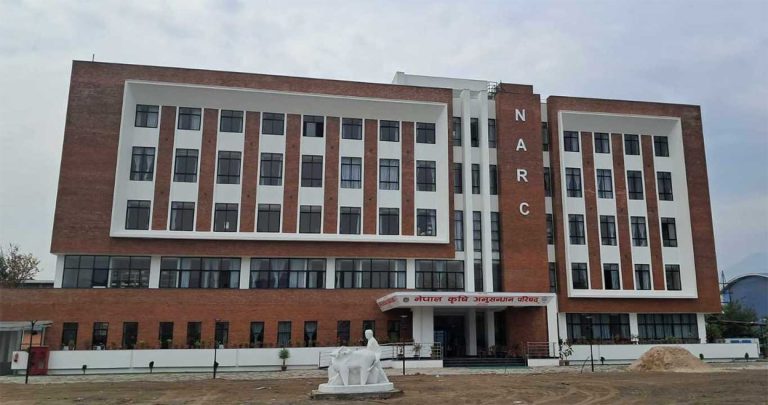 नार्कका ६ वैज्ञानिकसहित ११ कर्मचारी अध्ययन बिदापछि सम्पर्कविहीन