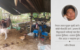 च्याङ्फा–गोरु अर्थशास्त्र