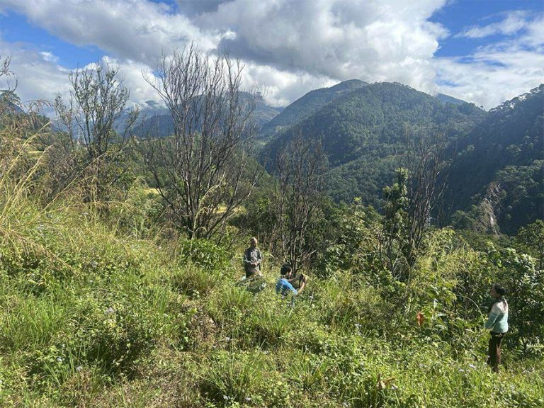 ‘पकेट’ क्षेत्रमै सुक्यो सुन्तलाका बोट