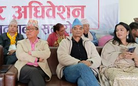 नेतृत्व र महाधिवेशन विवादले लिङ्देन र राणाबीच छेडखानी