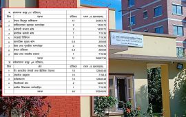 अपर अरुण हाइड्रोमा झण्डै १३ अर्बको शेयर एनआरएन र वैदेशिक रोजगारीमा रहेका नेपालीलाई दिने प्रस्ताव