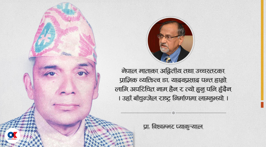 डा. यादवप्रसाद पन्त, जसले नेपालको अर्थतन्त्रलाई अन्तर्राष्ट्रिय परिचय दिलाए