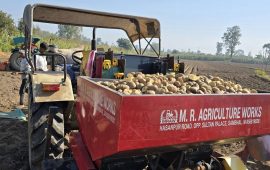 किसानलाई २०० बिघामा आलु खेती गराउँदै फ्रेन्च फ्राइज उद्योग