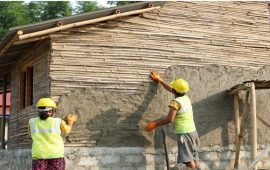 संरचना निर्माणमा बाँसको प्रयोग गर्न डिजाइन मार्गदर्शन स्वीकृत