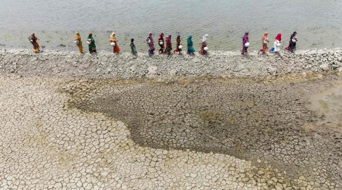 नुनका नदीहरू : जलवायु परिवर्तनसँग बङ्गलादेशको तटीय जीवन सङ्घर्ष