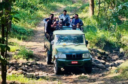 जंगल सफारीसँगै बाँके निकुञ्जमा पर्यटकको चहलपहल बढ्यो