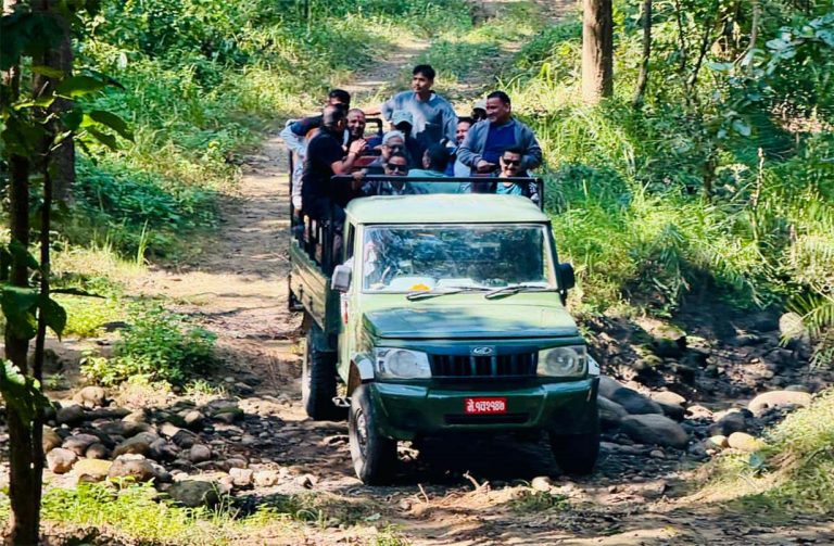 जंगल सफारीसँगै बाँके निकुञ्जमा पर्यटकको चहलपहल बढ्यो