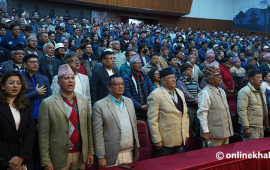 राष्ट्रिय सभागृहमा कांग्रेस विशेष महाधिवेशन पक्षधरको भेला (तस्वीरहरू)