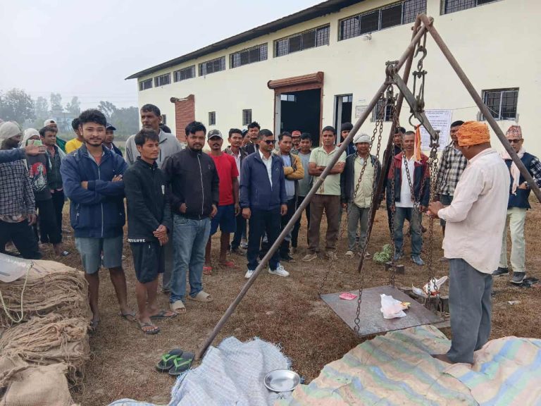 खाद्यले कैलालीमा किन्यो १४ सय क्विन्टल धान, दाङमा २३ कात्तिकदेखि