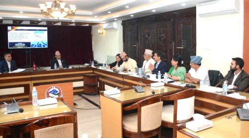 गृहले थाल्यो साइबर सुरक्षासम्बन्धी छलफल