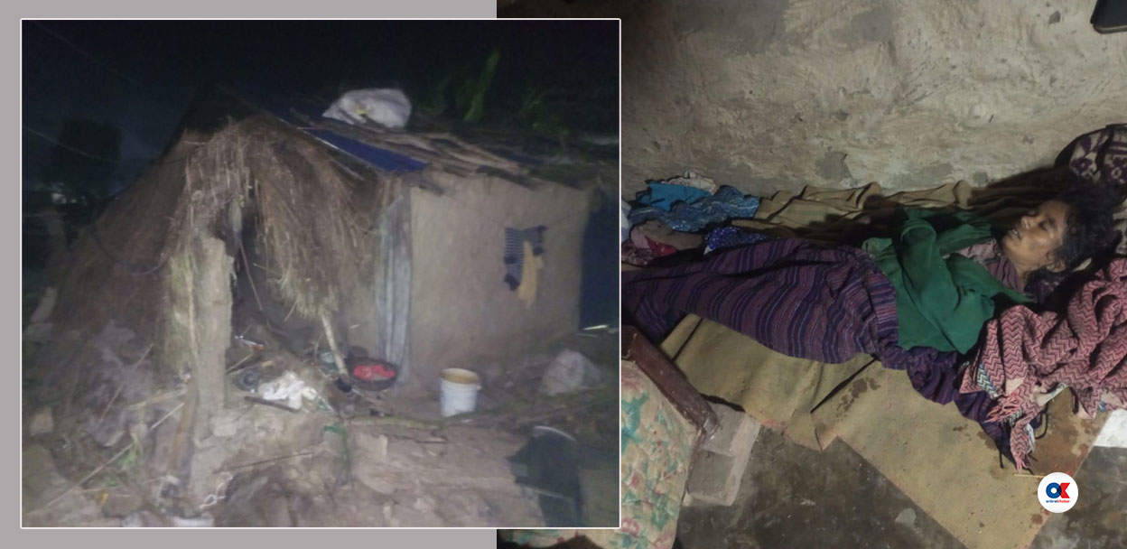 हात्तीले पहिले घर लडायो अनि घरमुली