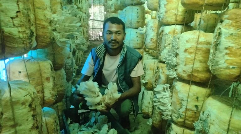 हाइटेक टनेलमा च्याउखेती गरेर वार्षिक १० लाख आम्दानी