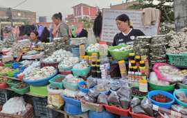 चिसो पहाडबाट झरेर तराईमा जडीबुटी व्यवसाय