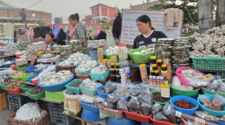 चिसो पहाडबाट झरेर तराईमा जडीबुटी व्यवसाय
