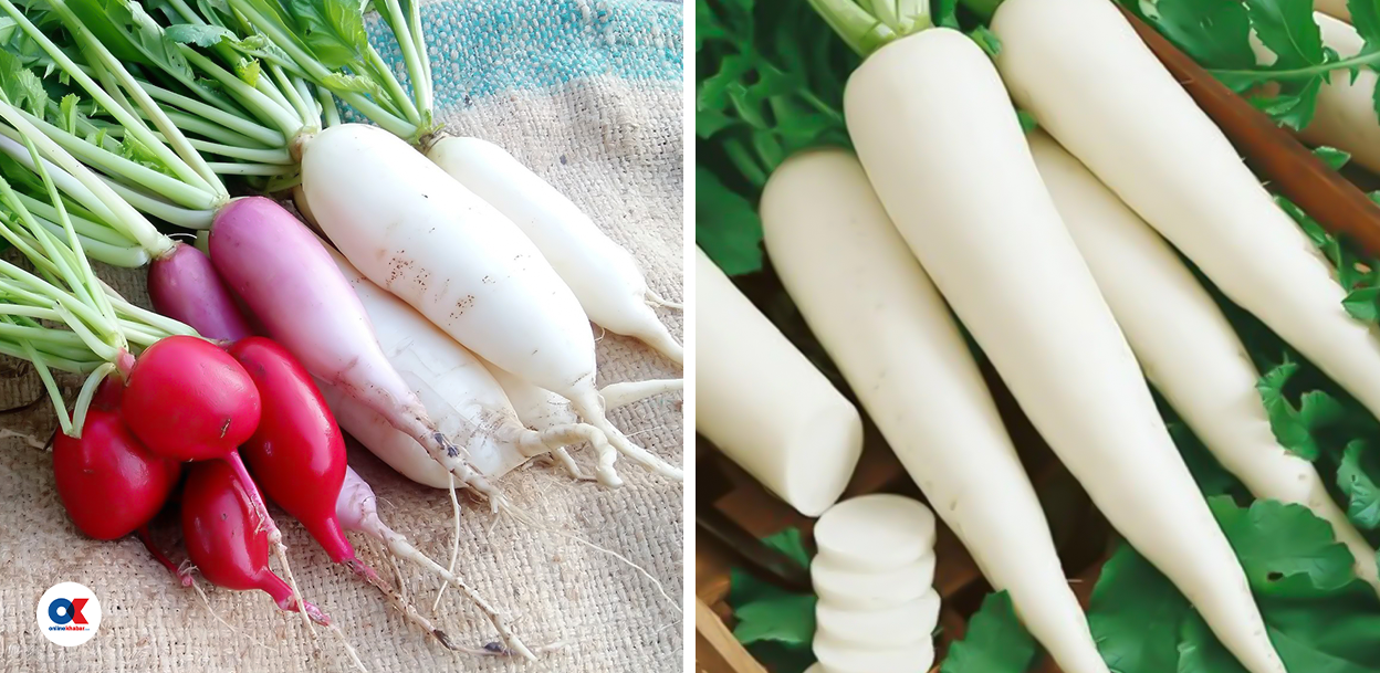 मुलामा के हुन्छ, जसले पाचनमा सहयोग गर्छ ?