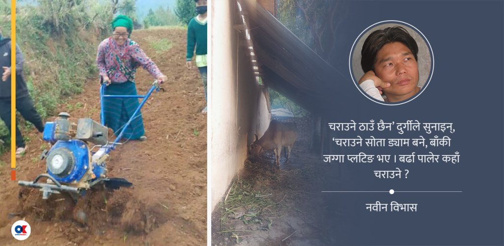 एक्लिए भल्द, च्याङ्फामय गाउँघर