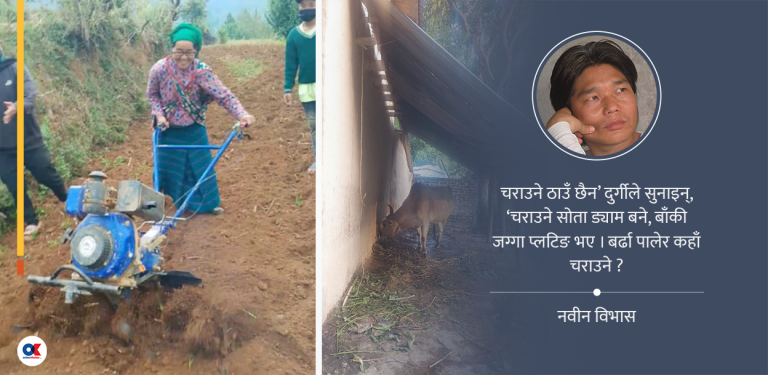 एक्लिए भल्द, च्याङ्फामय गाउँघर