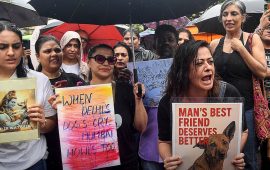 भारतमा किन चलिरहेको छ ‘नो डग नो भोट’ अभियान