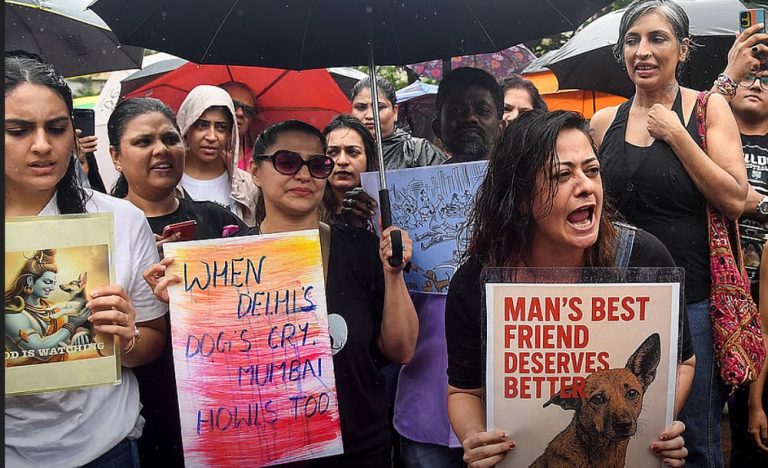 भारतमा किन चलिरहेको छ ‘नो डग नो भोट’ अभियान