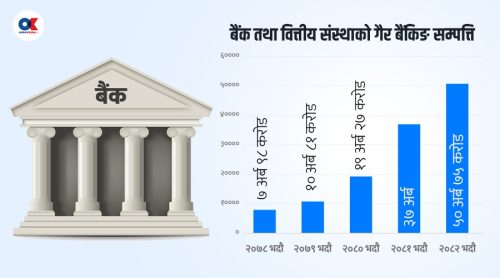 गैर-बैंकिङ सम्पत्ति बिक्री गर्नै सास्ती, बैंकहरूले सकारेको धितो ३ वर्षसम्म बिक्री नहुँदा के हुन्छ ?