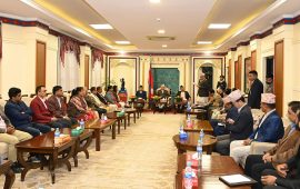 संघ र प्रदेश संसद्का पदाधिकारीले भेटे राष्ट्रपति, सरकारको निर्णयमा जनाए असन्तुष्टि