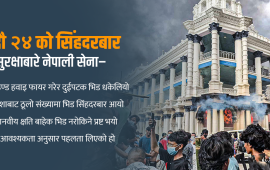 ‘सिंहदरबार पस्ने भिड रोक्न पटकपटक प्रयास भएको थियो’