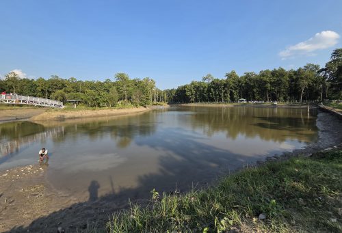 पर्यटकीय गन्तव्य बन्दै अमाह सिमसार