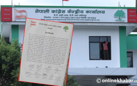 नियमित हुन नसके विशेष महाधिवेशन गर्नुपर्ने सिन्धुलीका ८ पालिका सभापतिहरूको माग