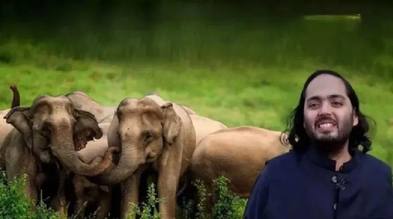 विवादित बन्यो अम्बानीको भान्तारा चिडियाखाना