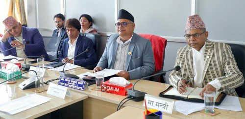 गठन आदेशबाट स्थापित संरचना : सरकारसँगै छैन तथ्यांक